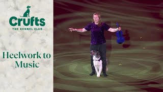 Heelwork To Music Competition Winner  Crufts 2024 [upl. by Aztin53]