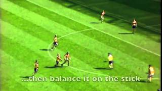 Hurling  The Fastest Game on Grass short version [upl. by Yznel684]