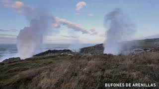 Bufones de Llanes  Pría Arenillas y Santiuste [upl. by Funch]