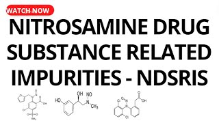 Nitrosamine Drug Substance Related Impurities NDSRIs [upl. by Leyameg]