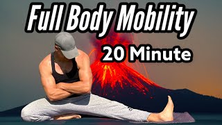 20 Min Yoga for Athletes Runners amp Martial Arts  Full Body Mobility Routine FOLLOW ALONG [upl. by Sela]