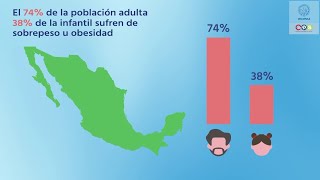 A Nuestra Salud Causas de la Obesidad [upl. by Moselle]