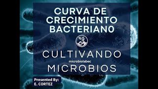 Descubre como funciona la curva bacteriana y el tipo de biorreactor [upl. by Piero]