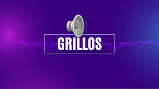 SONIDO MP3 GRILLOS  CRI CRI  GRILLOS CANTANDO  EFECTO DE SONIDO – USO LIBRE SIN COPYRIGHT [upl. by Oznerol]