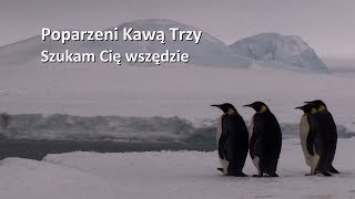 Poparzeni Kawą Trzy quotSzukam Cię Wszędziequot OFFICIAL LYRIC VIDEO [upl. by Llacam]