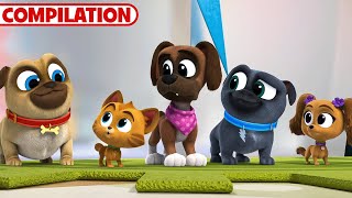 Best of Puppy Dog Pals Season 5  51 Minutes  Compilation  Disney Junior [upl. by Iline]