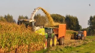 Loonwerk Van Holderbeke  Claas Jaguar 900 Speedstar [upl. by Imuy]