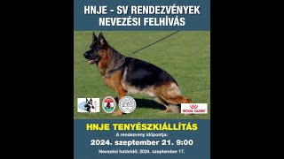 20240921 HNJE Szakács Attila Emlékkiállítás Debrecen előzetes [upl. by Zetnom]