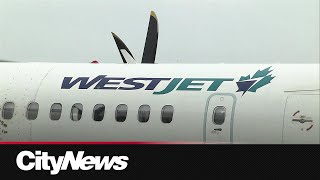 WestJet making progress on repairing planes damaged in Calgary hailstorm [upl. by Gardie851]