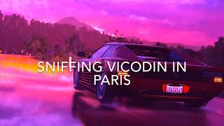 Sniffing Vicodin In Paris  Blackbear Slowed [upl. by Innaig]