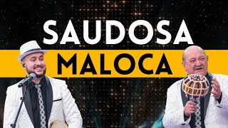 Demônios da Garoa cantam quotSaudosa Malocaquot no Faustão [upl. by Walrath]