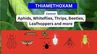 Exploring Thiamethoxam Uses Mode of Action and Environmental Considerations [upl. by Kcirdla773]