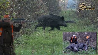 Wild boar driven hunt in Croatia New season 2017  Drückjagd in Kroatien [upl. by Harias]