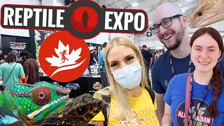 COOLEST Reptiles I saw at the Toronto Reptile Expo September 2021 [upl. by Diane-Marie]