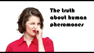 The truth about human pheromones [upl. by Jule]