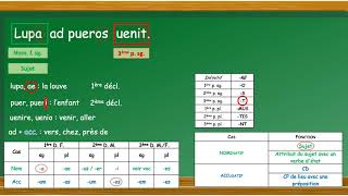 LATIN 1 Comment traduire une phrase simple  nominatif et accusatif [upl. by Netnert629]