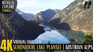 Plansee Wanderung zum Schönjöchl  Erlebe Tirol selbst  Virtual Hike Österreich mit ruhiger Musik [upl. by Thorwald]