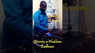 Dj Mix of Worries n Problems by Bushman and Dance Wid Me by Yellowman riddimmix reggaemusic [upl. by Arretahs]