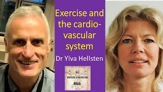 66  Exercise and the cardiovascular system with Professor Ylva Hellsten [upl. by Cott]