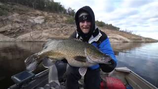 BCF  Lake Copeton Murray Cod Action [upl. by Luciana]