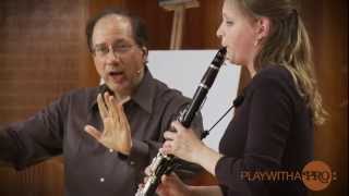 Clarinet lessons with Neidich Mozart clarinet Concerto Play With a Pro [upl. by Haorbed]