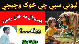 Rabies Dogs Bite Pashto باؤلے کتے کا کاٹنا ليوني سپي چيچل پښتو [upl. by Jeddy]