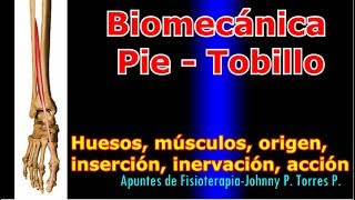 Biomecanica Pie  Tobillo [upl. by Annoyi]