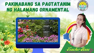 EPP4 Agriculture Week 2Pakinabang sa Pagtatanim ng Halamang Ornamental [upl. by Ojyllek]