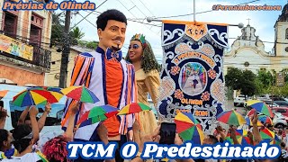 Festa nas ladeiras com a TCM O Predestinado  Prévias de Olinda 2024 [upl. by Warde]