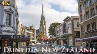 Dunedin New Zealand Walking Tour Nov 2021 4K  Dunedin City Centre  Otago New Zealand Travel Tour [upl. by Broida158]