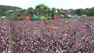 Mike Posner  I Took A Pill In Ibiza WampW remix WampW Live Tomorrowland 2016 Mainstage [upl. by Yrkcaz]