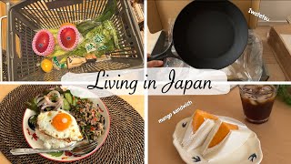 new cast iron frying pan explore new supermarket Gapao Rice mango sandwich [upl. by Aikem]