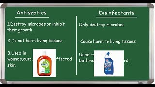 Antiseptic Vs Disinfectant differences English [upl. by Horne]