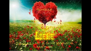 SCHÜTZE♐  Liebe💖  va Singles mit amp ohne Wunschpartner [upl. by Ednargel]