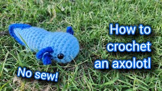 How to crochet an axolotl  No sew  Full pattern [upl. by Cattima]