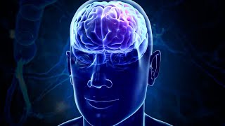 100 Brain Activation  Genius Frequency  Brain Training And Pineal Gland Formation [upl. by Vida]