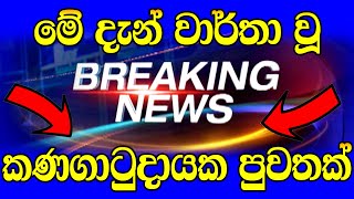 Hiru sinhala  Sri Lankan  hiru tv news today 11 55 am live  NEWS 1st TODAY  Breaking News He [upl. by Nalo78]