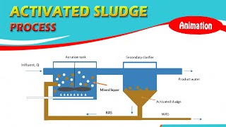 ACTIVATED SLUDGE PROCESS  with ANIMATION [upl. by Satsok]