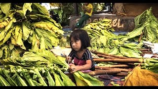 Asia Wired  Indonesias Child Tobacco Workers [upl. by Isadore]