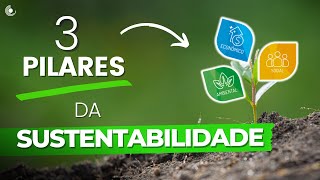 TRIPÉ da SUSTENTABILIDADE  Quais são os TRÊS pilares principais do Desenvolvimento Sustentável 🌱 [upl. by Acisset]