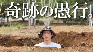 【庭の土壌改良】赤土を掘り返して砂の土に入れ替えて土壌改良した結果 [upl. by Llebana899]