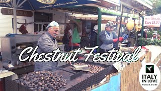 MONTELLA CHESTNUT FESTIVAL traditional food and drinks from Avellino Italy [upl. by Patrich]