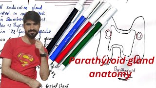 parathyroid gland anatomy  parathyroid gland and physiology  waheedandkamranlectures1774 [upl. by Alinoel482]