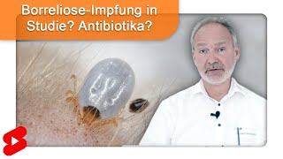 Antibiotika und Impfung bei Borreliose Welche Rolle spielt das Immunsystem shorts [upl. by Klara]