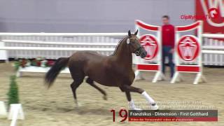 19 Franziskus  Dimension  First Gotthard [upl. by Hailahk]