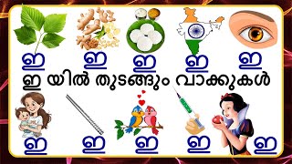 ഇ തുടങ്ങും വാക്കുകൾ  മലയാളം സ്വരാക്ഷരങ്ങൾ Malayalam words beginning with the vowel ee litters [upl. by Xena879]