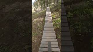 Fun Wooden Trail Squeezy Snowmass Bike Park mtb bike [upl. by Deana]