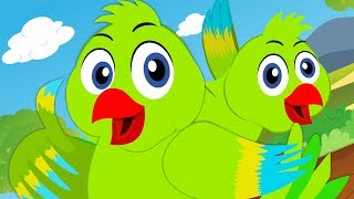 Main Tota Main Tota  मैं तोता मैं तोता  हिंदी कविता  Rhymes in Hindi  Hindi Balgeet  Kids TV [upl. by Htebezile]