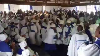 The Christian Catholic Apostolic Church in Zion CCAC  Yombel uHosana [upl. by Alwyn198]