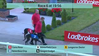 Monmore Greyhounds Races on 6th July 2024 [upl. by Aihsiyt178]